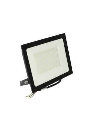 Réflecteur LED 100W PNI