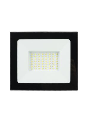 Réflecteur LED 50W PNI